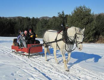 Horse-drawn sleighride.