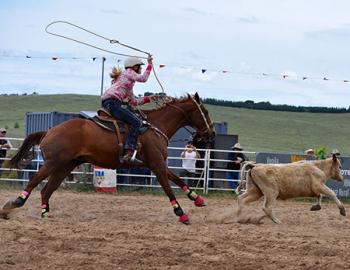 Wrangler roping a calf.