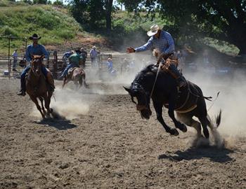 Cowboy on a bucking horse.