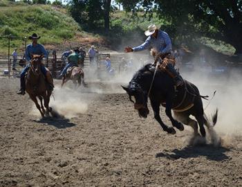 Cowboy on a bucking horse.