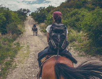 Group horseback riding on a trail.