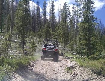 ATV on a forest trail.