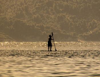 Stand up paddleboard.