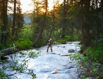 Person flyfishing in a river.