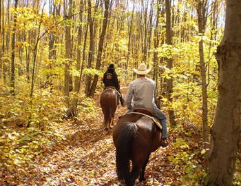 Group on horseback riding through an autumn forest.